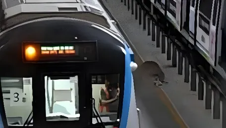 Hyderabad Metro to get 60 new coaches 