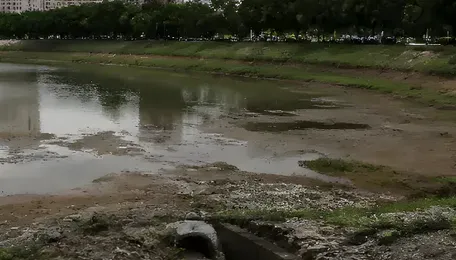 Bengaluru Lakes Are Emptying as Rainwater Systems and Agencies Fail