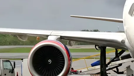 SAF Association calls for using used cooking oil to produce Sustainable Aviation Fuel