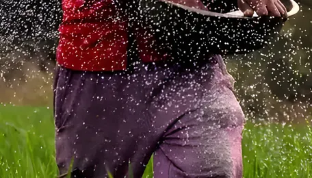 Forget oil and gas, a bigger Iran war risk is shaping up