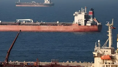India’s feed industry faces triple threat as Strait of Hormuz shuts 