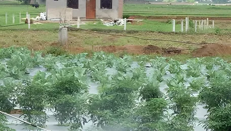 Centre hikes non-urea fertilisers subsidy to ₹37,952-cr for 2025 rabi season 