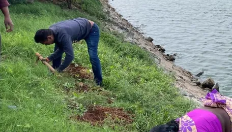 Bengaluru Jakkur Tests Bamboo For Lake Restoration