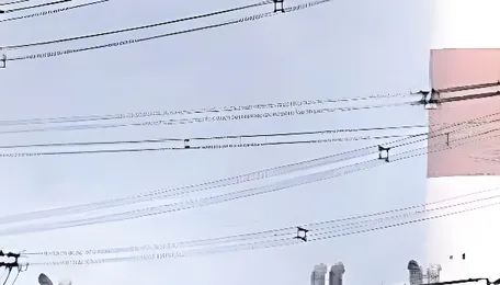 TN government was warned of power demand rise in July: Officials 