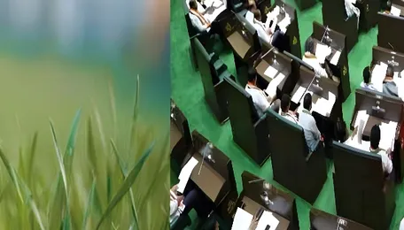 Telangana Assembly Moves to Ban Paraquat Dichloride Pesticide 