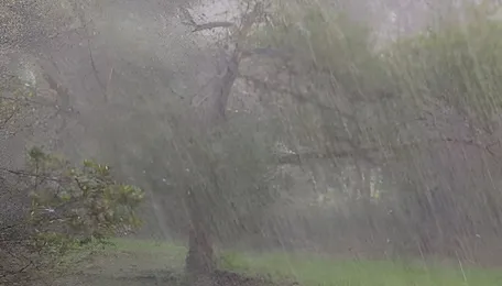 Tamil Nadu Monsoon Pattern Brings Fresh Civic Challenges
