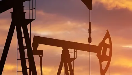 Government waives customs duty on key petrochemical imports amid West Asia war 