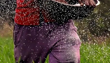 3 years into scheme to cut chemical fertilisers, Rs 0 released and incentive disbursal mechanism not set 