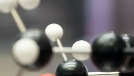 Thermally Tunable Naphthalene Diimide Solvates Enabling Selective Sensing, Reversible Photochromism, and Anti-counterfeiting Application 