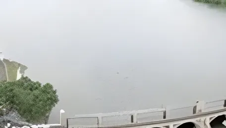 Pune Reservoir Storage Rises After Intense Monsoon