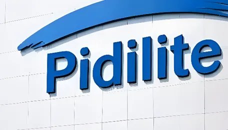 Pidilite, South Korea's Hwaseung Chemical partner to bring footwear adhesives to India 