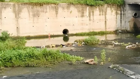 Pune Housing Societies Under Scrutiny for Ramnadi River Pollution