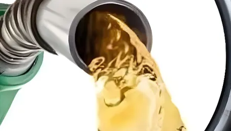 Centre denies bailout to oil Psus despite mounting losses 