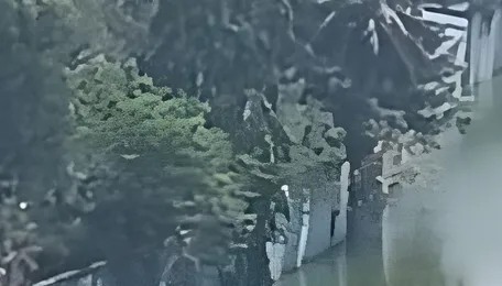 Mumbai Citizens Renew Push For River Rejuvenation