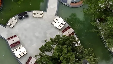 Bengaluru Rooftop Forest Shows Urban Green Possibilities