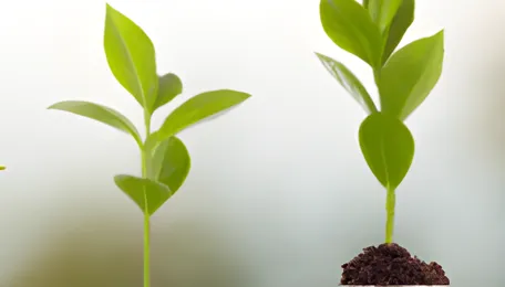 Readily Mobility Plans IPO, Expands Solar Commissioning and OandM Portfolio in India