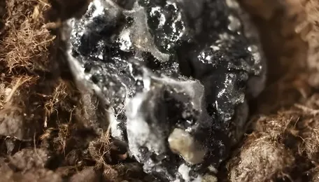 Parliamentary panel suggests funding boost for state-owned IREL to prioritise rare earth mining