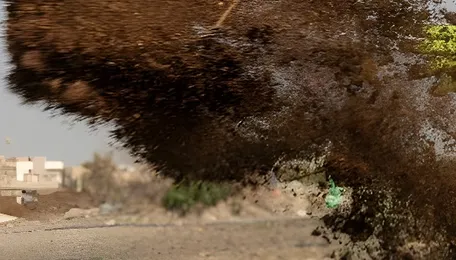 Interest in natural farming is growing after the Iran war 