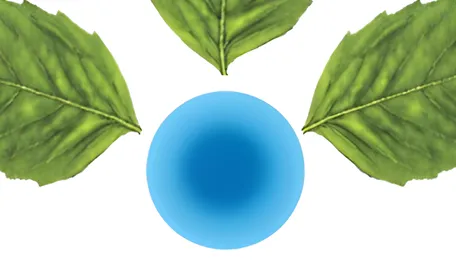 Transatlantic realignment: CABB sells Jayhawk as Anupam Rasayan moves closer to U.S. customers 