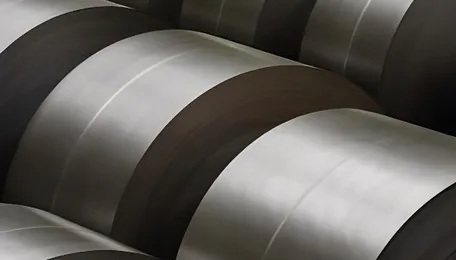 VMS TMT board clears AUSL merger with company