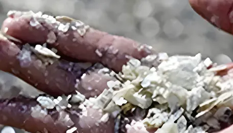 Lithium prices poised to gain on Chinese curbs, robust demand for EVs