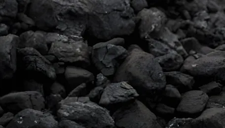 India's coal habit threatens economic goals, warns Parliament panel 