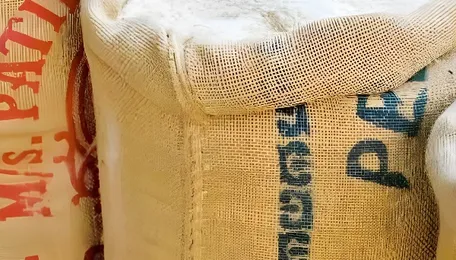 Hyderabad Telangana Rice Export Plan Targets Global Markets