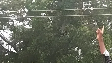 Low-lying electric wires on migration route pose threat to elephants near Krishnagiri 