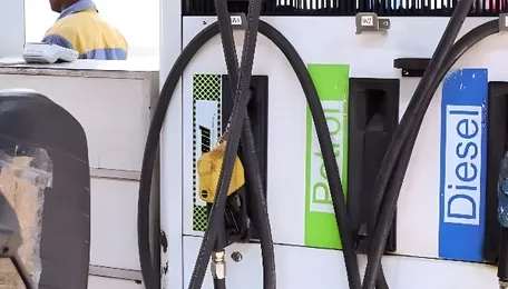 Government may lift fuel-supply safeguards once West Asia crisis abates: Official 