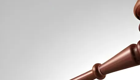 MSEDCL settles 341 cases in Lok Adalat 