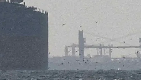 Asian prices of key petrochemicals stay elevated despite Iran ceasefire 