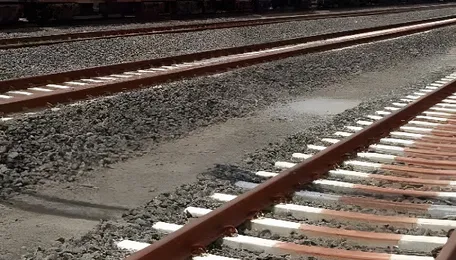 ‘Lifeline For Rapidly Developing India’: 3 Key Sections To Lend Weight To Western Dedicated Freight Corridor 