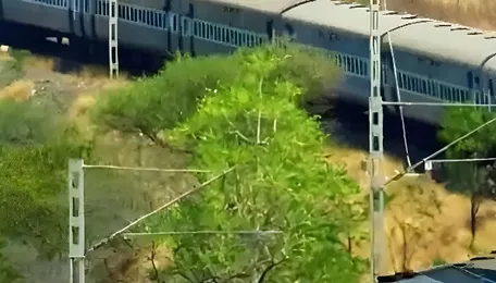 Railway Minister orders special trains for public
