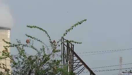 The reform India’s power sector needed 