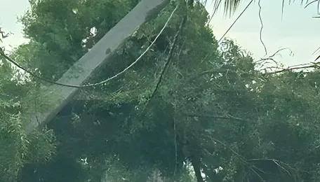 Heavy rains pound parts of old Mysuru region 