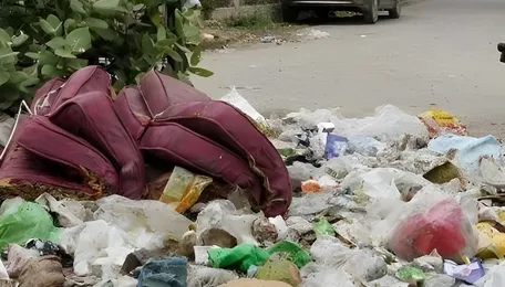Gurugram Sector 23A Waste Collection Crisis Deepens