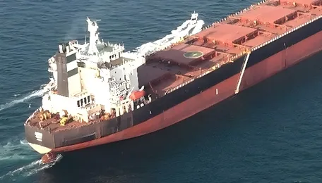 What helped the world survive the biggest oil shock in decades? 