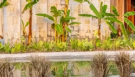 Taj Opens Luxury Resort Near Tadoba Tiger Reserve With 35 Villas; One-Night Stay Starts At ₹10,000 