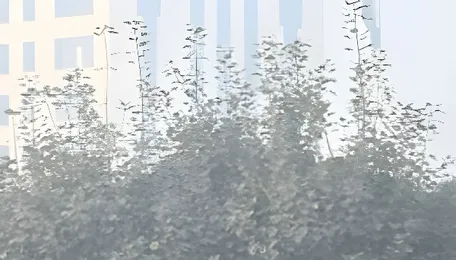 Delhi air pollution: GRAP III curbs reimposed, check what’s allowed, what’s restricted 