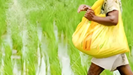 Govt's Atmanirbhar drive bolsters fertiliser security with record domestic production 