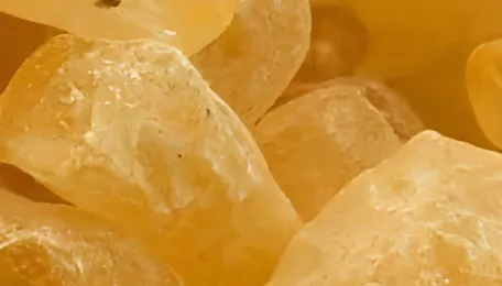 Gum Rosin Prices Weaken Across Asia and South America in April Amid Subdued Demand