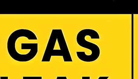 PPCB to probe alleged gas leak at chemical plant 