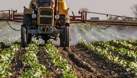 Sabic Agri-Nutrients to pay dividend despite drop in revenue 