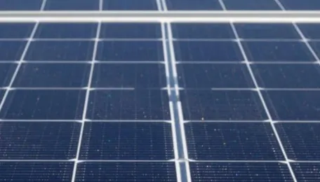 Gujarat adds 6.6 GW renewables April–August, solar leads growth 