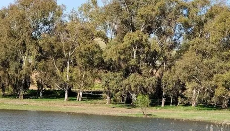 Bengaluru Lake Restoration Faces Fresh Accountability Questions