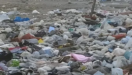 Gurugram Civic Body Intensifies Urban Sanitation Checks