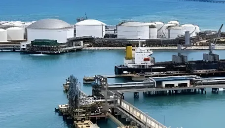 India sourcing LNG from US, Canada; gas available with PSUs for captive power plants: Govt official 