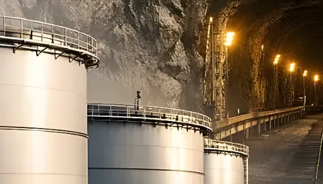 India Plans Month Long Fuel Reserves To Boost Energy Security