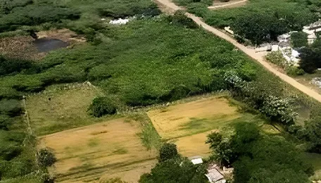 Parandur airport project gains pace as Tamil Nadu govt acquires over 1,100 acres