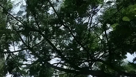 Sambhajinagar Housing Groups Call For Property Tax Exemption